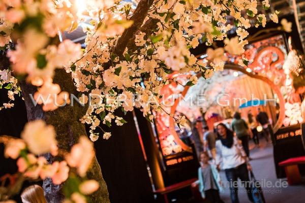 Pflanzen mieten & vermieten - Kirschblüten-Baum L, weiß - WUNDERRÄUME GmbH vermietet: Dekoration/Kulisse für Event, Messe, Veranstaltung, Incentive, Mitarbeiterfest, Firmenjubiläum in Lichtenstein/Sachsen