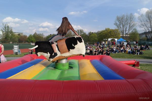 Riesenrutsche mieten & vermieten - Schweinereiten, Enten Rodeo, Bullriding mieten in Berlin