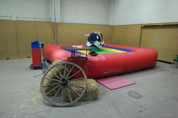 Riesenrutsche mieten & vermieten - Schweinereiten, Enten Rodeo, Bullriding mieten in Berlin