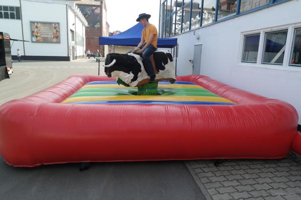 Riesenrutsche mieten & vermieten - Schweinereiten, Enten Rodeo, Bullriding mieten in Berlin
