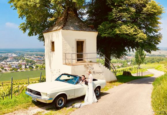 Oldtimer mieten & vermieten - Mustang Cabrio Bj. 1967, Hochzeitsauto, Chauffeur/-in, Oldtimer in Freiburg im Breisgau