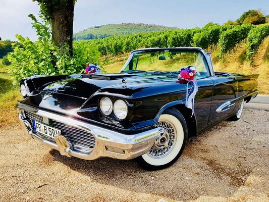 Oldtimer mieten & vermieten - Ford Thunderbird Cabrio Bj. 59, Hochzeitsauto, Chauffeur/-in, Oldtimer in Freiburg im Breisgau