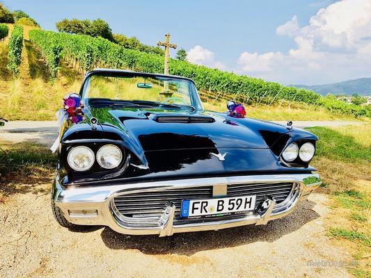 Oldtimer mieten & vermieten - Ford Thunderbird Cabrio Bj. 59, Hochzeitsauto, Chauffeur/-in, Oldtimer in Freiburg im Breisgau