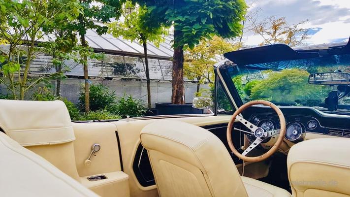 Hochzeitsauto mieten & vermieten - Mustang Cabrio Bj. 68, Hochzeitsauto, Chauffeur/-in, Oldtimer in Freiburg im Breisgau