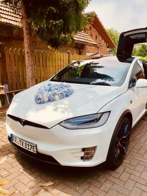 Hochzeitsauto mieten & vermieten - Tesla Model X als Hochzeitsauto, Chauffeur/-in in Freiburg im Breisgau