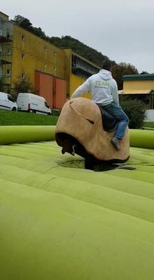 Bullriding mieten & vermieten - Bullriding mit Spaßgarantie für groß und klein in Obersulm