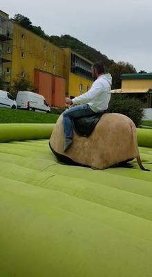 Bullriding mieten & vermieten - Bullriding mit Spaßgarantie für groß und klein in Obersulm