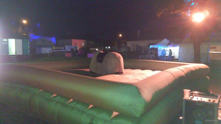 Bullriding mieten & vermieten - Bullriding mit Spaßgarantie für groß und klein in Obersulm