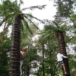 Klettergeräte mieten & vermieten - Palmenklettern in Gelsenkirchen