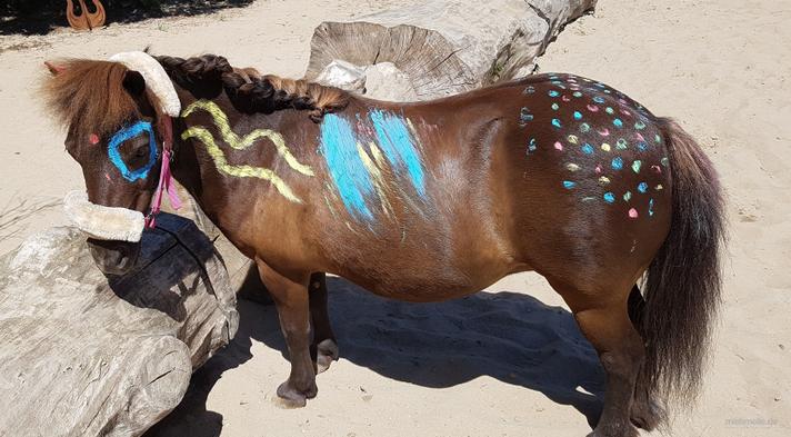 weitere Eventmodule mieten & vermieten - Ponyevents, Ponyreiten, Ponygeburtstag, Kindergeburtstag, Ponys mieten, Ponykutsche Kutsche, Mädchentraum, Mädchengeburtstag, Prinzessin, Geschenk, Kind, Kinder, Freizeit, Ausflug, in Leichlingen