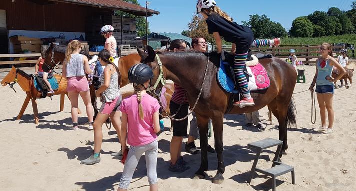 weitere Eventmodule mieten & vermieten - Ponyevents, Ponyreiten, Ponygeburtstag, Kindergeburtstag, Ponys mieten, Ponykutsche Kutsche, Mädchentraum, Mädchengeburtstag, Prinzessin, Geschenk, Kind, Kinder, Freizeit, Ausflug, in Leichlingen