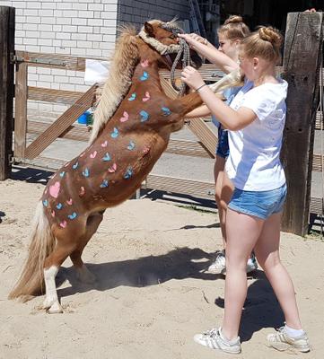 weitere Eventmodule mieten & vermieten - Ponyevents, Ponyreiten, Ponygeburtstag, Kindergeburtstag, Ponys mieten, Ponykutsche Kutsche, Mädchentraum, Mädchengeburtstag, Prinzessin, Geschenk, Kind, Kinder, Freizeit, Ausflug, in Leichlingen