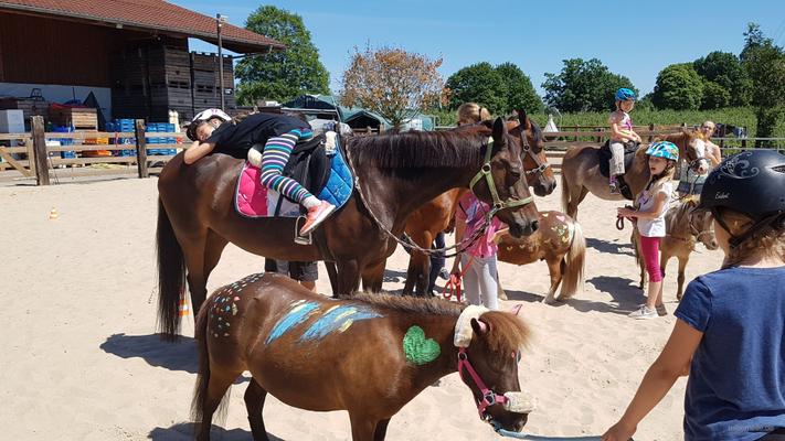 weitere Eventmodule mieten & vermieten - Ponyevents, Ponyreiten, Ponygeburtstag, Kindergeburtstag, Ponys mieten, Ponykutsche Kutsche, Mädchentraum, Mädchengeburtstag, Prinzessin, Geschenk, Kind, Kinder, Freizeit, Ausflug, in Leichlingen