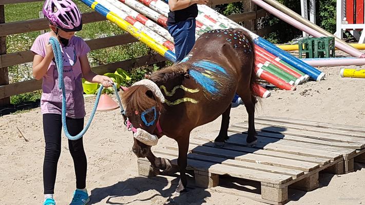 weitere Eventmodule mieten & vermieten - Ponyevents, Ponyreiten, Ponygeburtstag, Kindergeburtstag, Ponys mieten, Ponykutsche Kutsche, Mädchentraum, Mädchengeburtstag, Prinzessin, Geschenk, Kind, Kinder, Freizeit, Ausflug, in Leichlingen