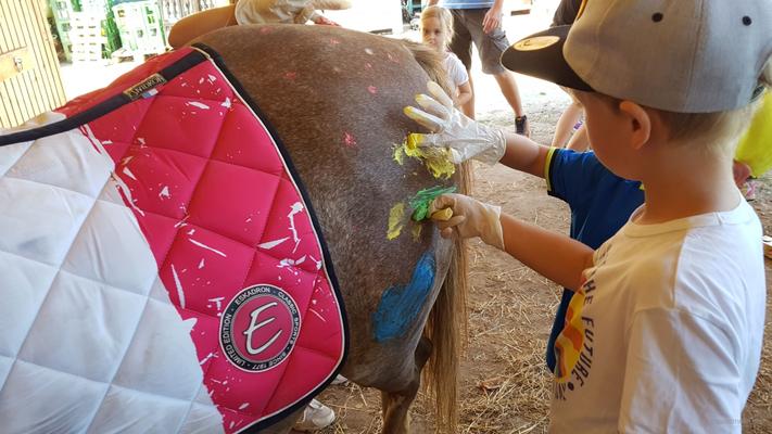 weitere Eventmodule mieten & vermieten - Ponyevents, Ponyreiten, Ponygeburtstag, Kindergeburtstag, Ponys mieten, Ponykutsche Kutsche, Mädchentraum, Mädchengeburtstag, Prinzessin, Geschenk, Kind, Kinder, Freizeit, Ausflug, in Leichlingen