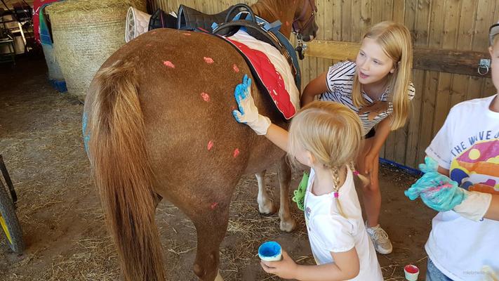 weitere Eventmodule mieten & vermieten - Ponyevents, Ponyreiten, Ponygeburtstag, Kindergeburtstag, Ponys mieten, Ponykutsche Kutsche, Mädchentraum, Mädchengeburtstag, Prinzessin, Geschenk, Kind, Kinder, Freizeit, Ausflug, in Leichlingen