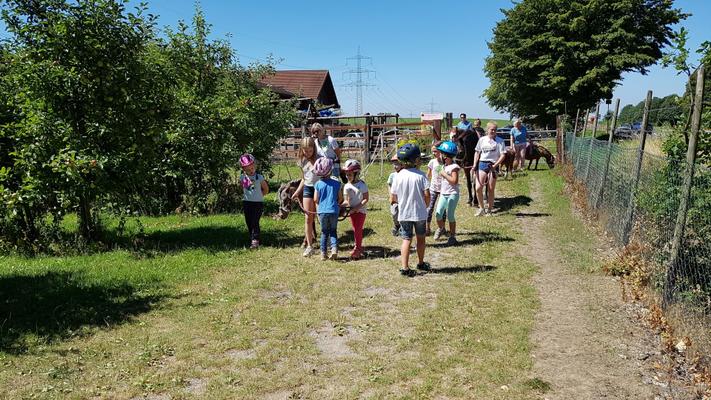 weitere Eventmodule mieten & vermieten - Ponyevents, Ponyreiten, Ponygeburtstag, Kindergeburtstag, Ponys mieten, Ponykutsche Kutsche, Mädchentraum, Mädchengeburtstag, Prinzessin, Geschenk, Kind, Kinder, Freizeit, Ausflug, in Leichlingen
