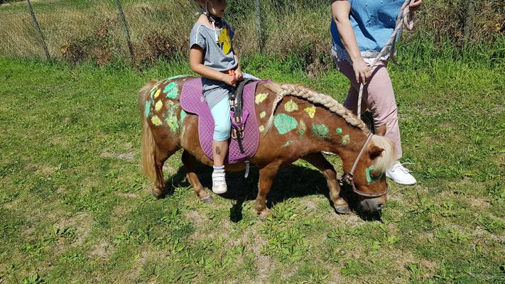 weitere Eventmodule mieten & vermieten - Ponyevents, Ponyreiten, Ponygeburtstag, Kindergeburtstag, Ponys mieten, Ponykutsche Kutsche, Mädchentraum, Mädchengeburtstag, Prinzessin, Geschenk, Kind, Kinder, Freizeit, Ausflug, in Leichlingen