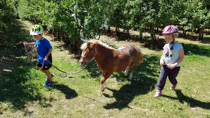 weitere Eventmodule mieten & vermieten - Ponyevents, Ponyreiten, Ponygeburtstag, Kindergeburtstag, Ponys mieten, Ponykutsche Kutsche, Mädchentraum, Mädchengeburtstag, Prinzessin, Geschenk, Kind, Kinder, Freizeit, Ausflug, in Leichlingen