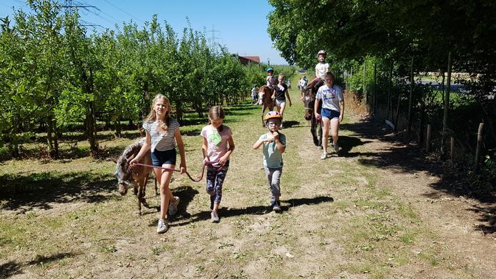 weitere Eventmodule mieten & vermieten - Ponyevents, Ponyreiten, Ponygeburtstag, Kindergeburtstag, Ponys mieten, Ponykutsche Kutsche, Mädchentraum, Mädchengeburtstag, Prinzessin, Geschenk, Kind, Kinder, Freizeit, Ausflug, in Leichlingen