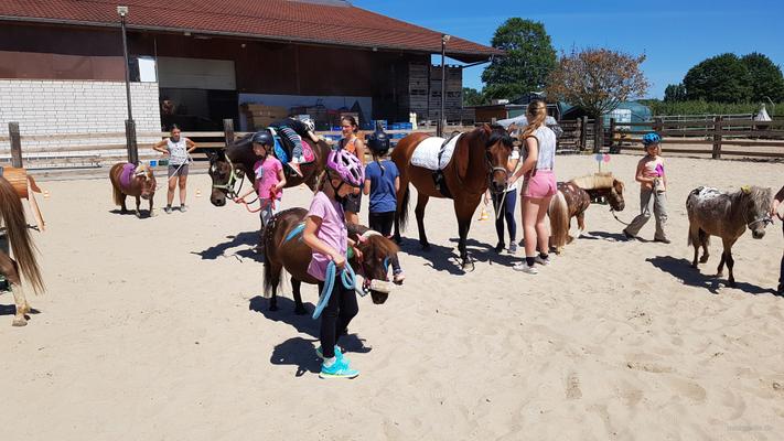 weitere Eventmodule mieten & vermieten - Ponyevents, Ponyreiten, Ponygeburtstag, Kindergeburtstag, Ponys mieten, Ponykutsche Kutsche, Mädchentraum, Mädchengeburtstag, Prinzessin, Geschenk, Kind, Kinder, Freizeit, Ausflug, in Leichlingen