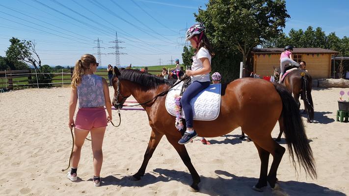 weitere Eventmodule mieten & vermieten - Ponyevents, Ponyreiten, Ponygeburtstag, Kindergeburtstag, Ponys mieten, Ponykutsche Kutsche, Mädchentraum, Mädchengeburtstag, Prinzessin, Geschenk, Kind, Kinder, Freizeit, Ausflug, in Leichlingen