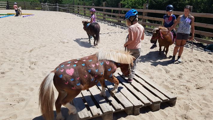 weitere Eventmodule mieten & vermieten - Ponyevents, Ponyreiten, Ponygeburtstag, Kindergeburtstag, Ponys mieten, Ponykutsche Kutsche, Mädchentraum, Mädchengeburtstag, Prinzessin, Geschenk, Kind, Kinder, Freizeit, Ausflug, in Leichlingen