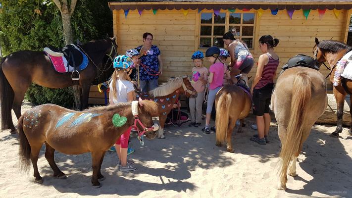 weitere Eventmodule mieten & vermieten - Ponyevents, Ponyreiten, Ponygeburtstag, Kindergeburtstag, Ponys mieten, Ponykutsche Kutsche, Mädchentraum, Mädchengeburtstag, Prinzessin, Geschenk, Kind, Kinder, Freizeit, Ausflug, in Leichlingen