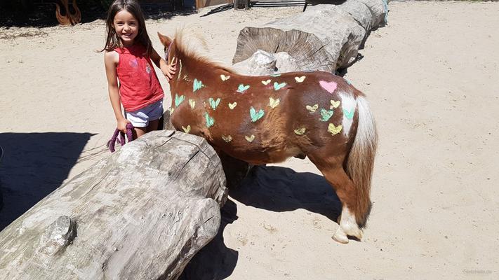 weitere Eventmodule mieten & vermieten - Ponyevents, Ponyreiten, Ponygeburtstag, Kindergeburtstag, Ponys mieten, Ponykutsche Kutsche, Mädchentraum, Mädchengeburtstag, Prinzessin, Geschenk, Kind, Kinder, Freizeit, Ausflug, in Leichlingen