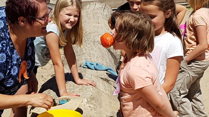 weitere Eventmodule mieten & vermieten - Ponyevents, Ponyreiten, Ponygeburtstag, Kindergeburtstag, Ponys mieten, Ponykutsche Kutsche, Mädchentraum, Mädchengeburtstag, Prinzessin, Geschenk, Kind, Kinder, Freizeit, Ausflug, in Leichlingen