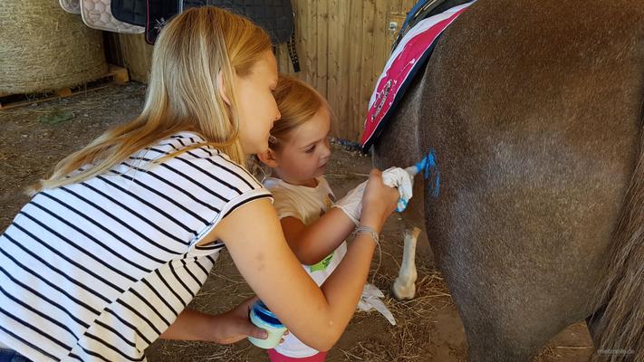 weitere Eventmodule mieten & vermieten - Ponyevents, Ponyreiten, Ponygeburtstag, Kindergeburtstag, Ponys mieten, Ponykutsche Kutsche, Mädchentraum, Mädchengeburtstag, Prinzessin, Geschenk, Kind, Kinder, Freizeit, Ausflug, in Leichlingen