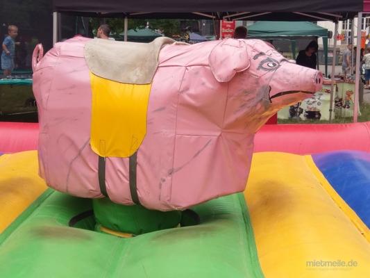 Hüpfburg mieten & vermieten - Lustiges Schweinereiten wie Bullriding /Rodeo in Naumburg