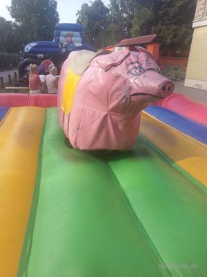 Hüpfburg mieten & vermieten - Lustiges Schweinereiten wie Bullriding /Rodeo in Naumburg