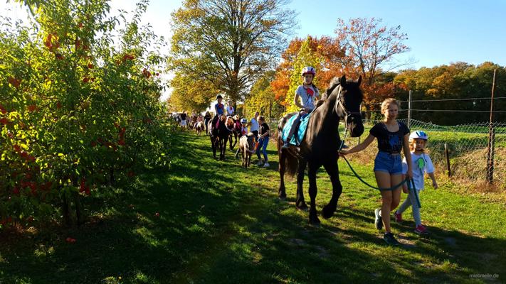 weitere Eventmodule mieten & vermieten - NEU für Kinder Ponyführerschein - Kindergeburtstag - Kindesrfest - reiten - Pony - Geburtstag - Ponys/Pferde für Ihr Firmenevent in Leichlingen