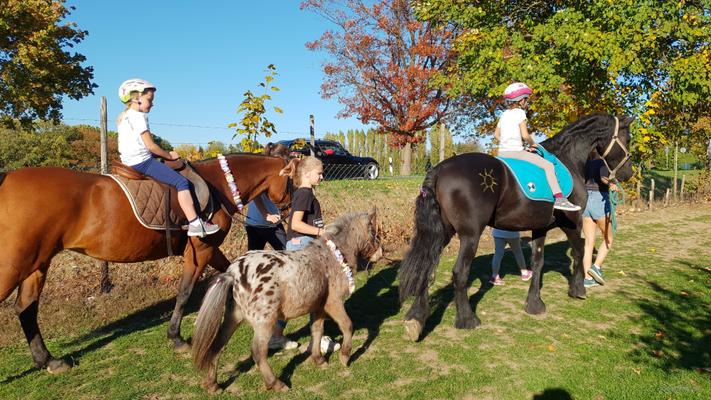 weitere Eventmodule mieten & vermieten - NEU für Kinder Ponyführerschein - Kindergeburtstag - Kindesrfest - reiten - Pony - Geburtstag - Ponys/Pferde für Ihr Firmenevent in Leichlingen