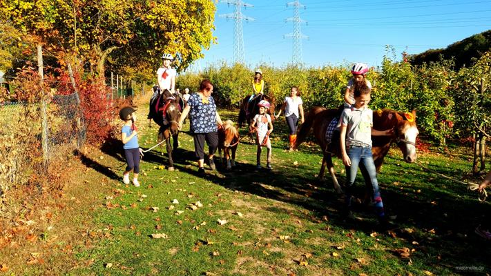 weitere Eventmodule mieten & vermieten - NEU für Kinder Ponyführerschein - Kindergeburtstag - Kindesrfest - reiten - Pony - Geburtstag - Ponys/Pferde für Ihr Firmenevent in Leichlingen