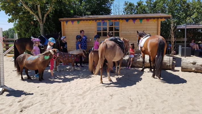 weitere Eventmodule mieten & vermieten - NEU für Kinder Ponyführerschein - Kindergeburtstag - Kindesrfest - reiten - Pony - Geburtstag - Ponys/Pferde für Ihr Firmenevent in Leichlingen