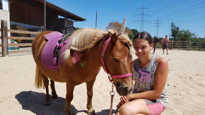 weitere Eventmodule mieten & vermieten - NEU für Kinder Ponyführerschein - Kindergeburtstag - Kindesrfest - reiten - Pony - Geburtstag - Ponys/Pferde für Ihr Firmenevent in Leichlingen