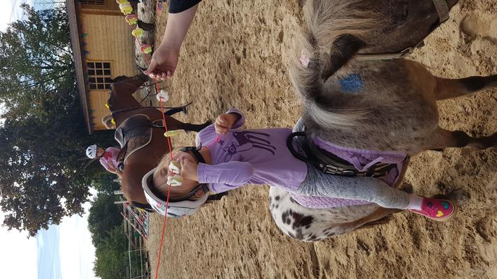 weitere Eventmodule mieten & vermieten - NEU für Kinder Ponyführerschein - Kindergeburtstag - Kindesrfest - reiten - Pony - Geburtstag - Ponys/Pferde für Ihr Firmenevent in Leichlingen