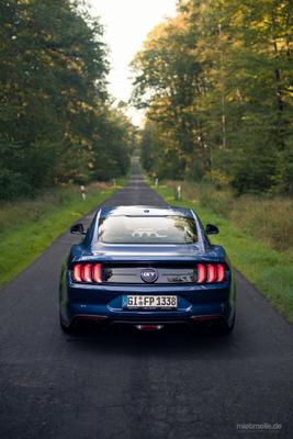 Sportwagen mieten & vermieten - Ford Mustang GT 2019 selbst fahren und erleben in Wettenberg