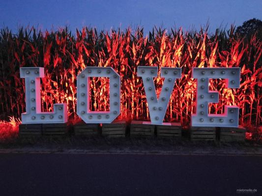 Leuchten & Lampen mieten & vermieten - XXL Buchstaben "LOVE" 120 cm in Hüllhorst