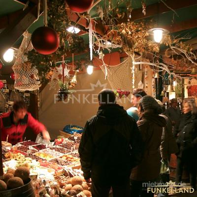 Saisonale Dekoration mieten & vermieten - Der FUNKELWALD - ein verzauberter Märchenwald im FUNKELLAND in Lichtenstein/Sachsen