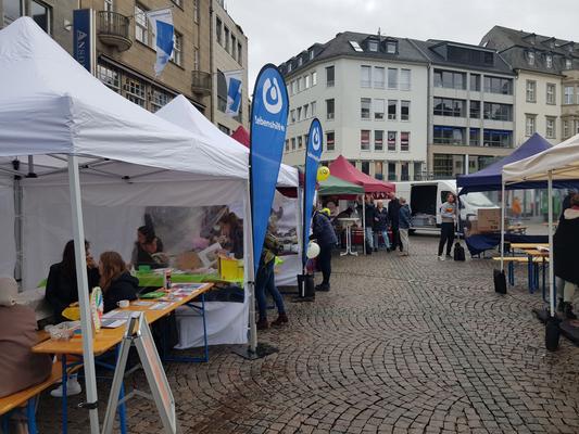 Bierzeltgarnitur mieten & vermieten - Festzeltgarnitur XXL  mit 220x70cm Tisch in Bonn