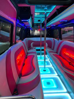 Bus mieten & vermieten - Partybus Pink in Hilchenbach
