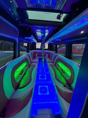 Bus mieten & vermieten - Partybus Pink in Hilchenbach
