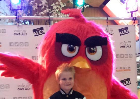 Mitmachzirkus mieten & vermieten - Angry Birds – Lizenzartikel das Original – meet and greet in Bramsche