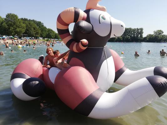 Spielgeräte mieten & vermieten - Vermiete große aufblasbare Tiere in Kaub