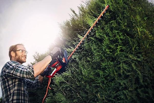 Heckenschere mieten & vermieten - Elektro-Heckenschere 700 W Messer aus lasergeschnittenem diamantgeschliffenem Stahl Metallgettriebe in Elsdorf (Rheinland)