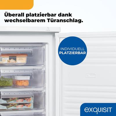 Tiefkühlgeräte mieten & vermieten - Gefrierschrank Tiefkühlschrank Tiefkühltruhe 91 l minus -18°C mit 4 Schubladen 4 Sterne-Gefrierfach in Elsdorf (Rheinland)