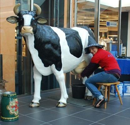 Bullriding mieten & vermieten - Oktoberfestpaket mit 5 Attraktionen! in Münnerstadt
